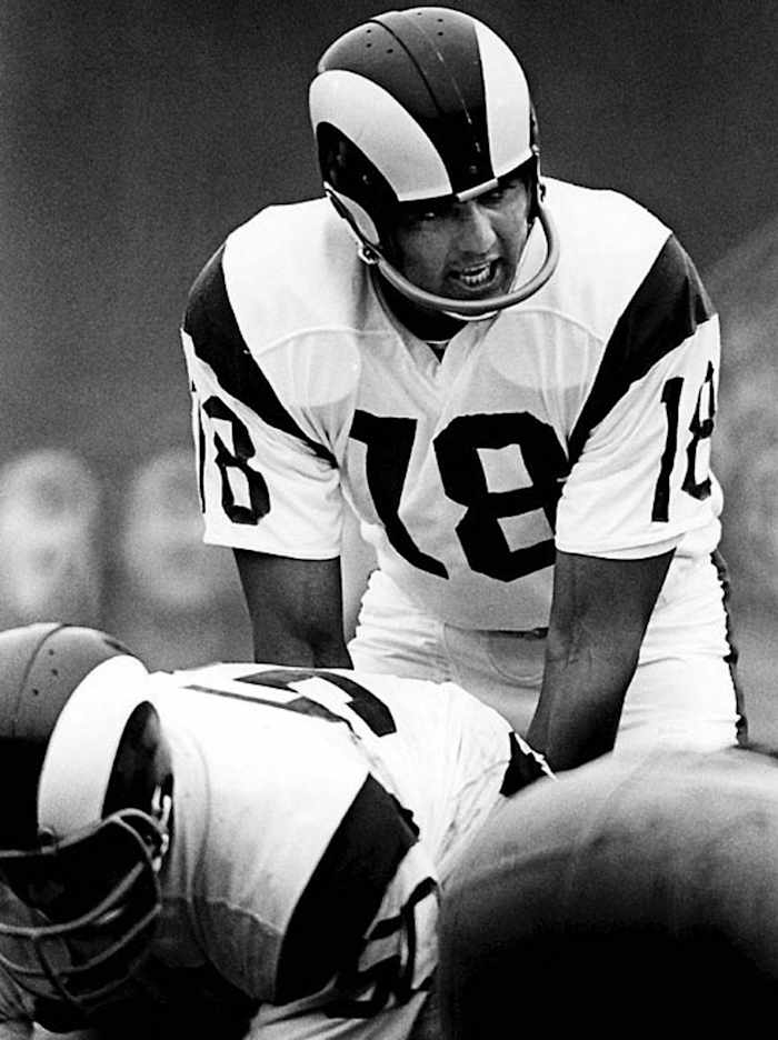 Roman Gabriel